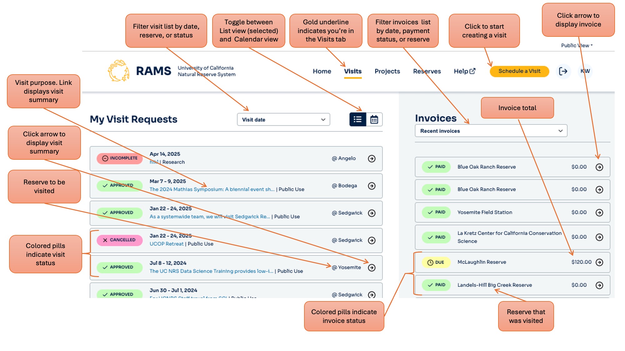 Visits homepage controls